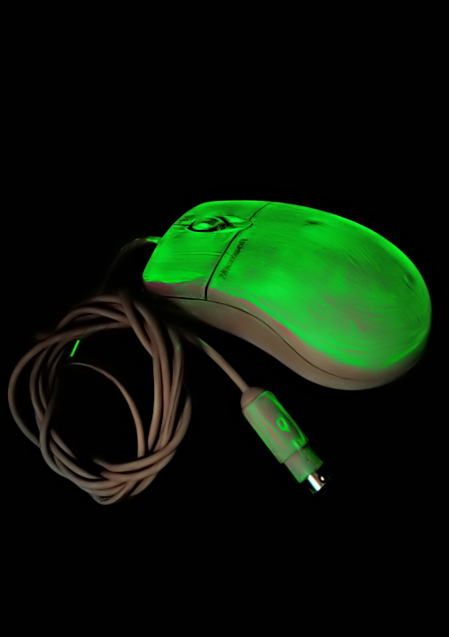 Day-12_Mouse.jpg