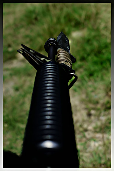 50mm_Day_22.jpg