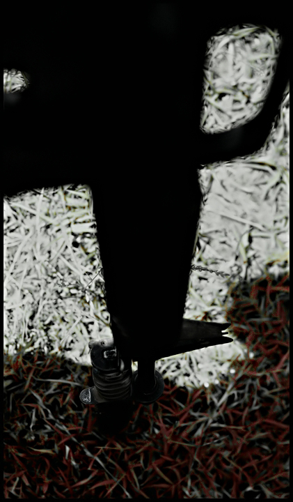 50mm_Day_23.jpg