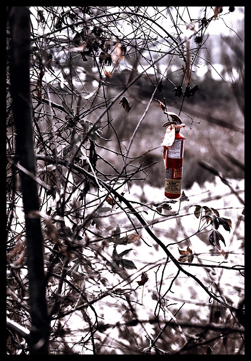 Forrest Fire Prevention