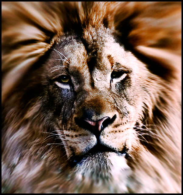 Courage