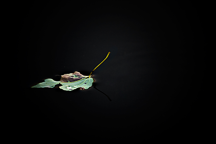 Floating