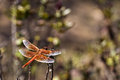 Kelly_Park-0077.jpg
