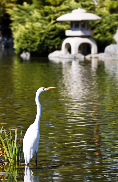 Kelly_Park-0118.jpg