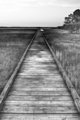 'doc'