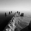 _MG_8956