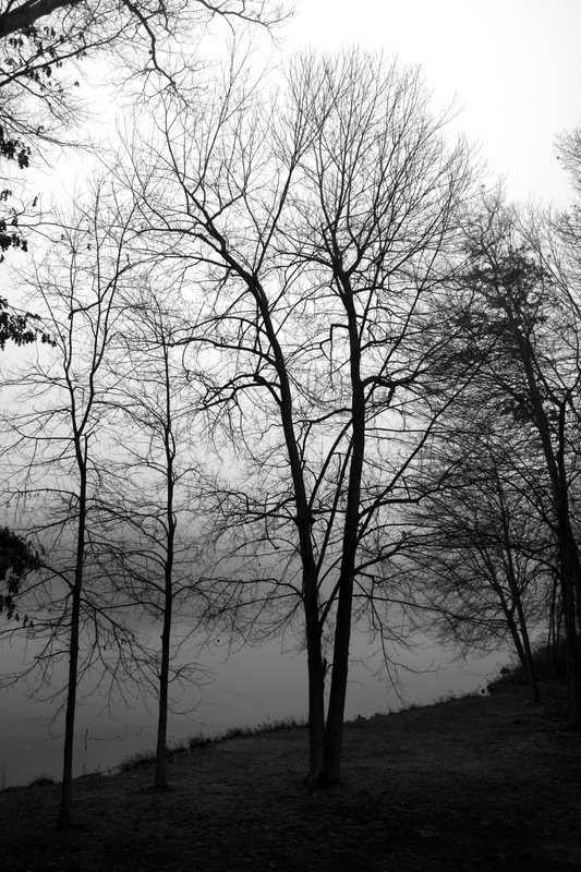 20071222_0038.jpg