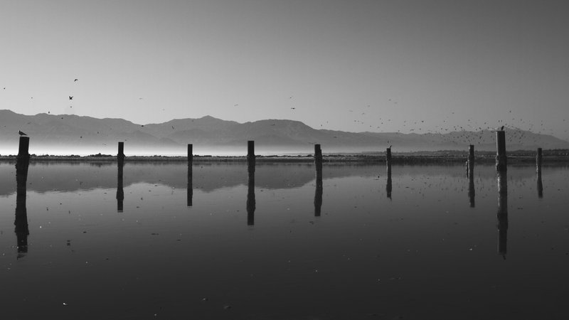 _MG_8833