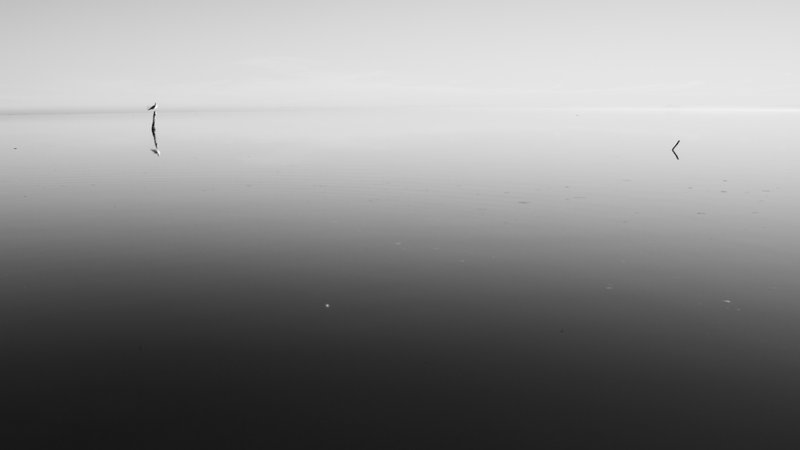 _MG_8976