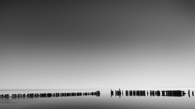 _MG_8897