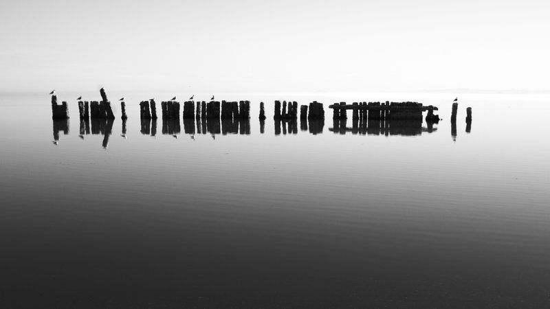 _MG_8901