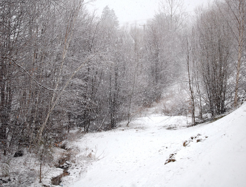 Snow Day3.jpg