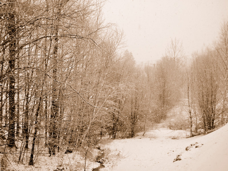 Snow Day5.jpg