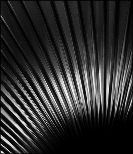 abstract1.jpg