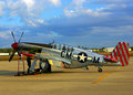 P51C
