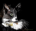 Mitty