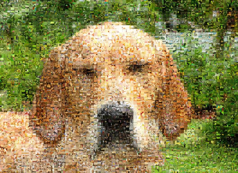 image-mosaic Rex (see full size)