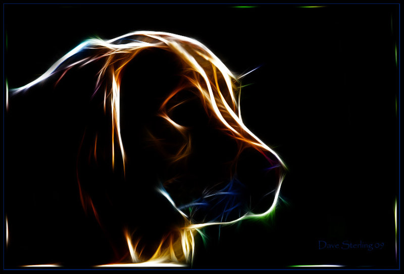 Fractal Rex