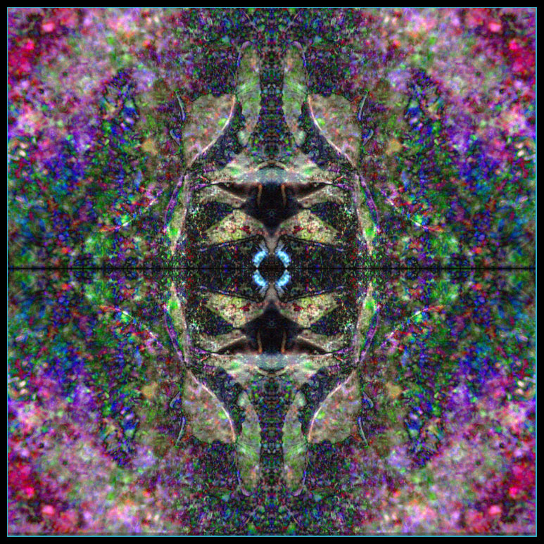 FlipColor.jpg