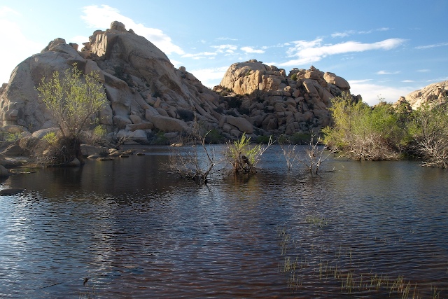 Lake in the Desert II
