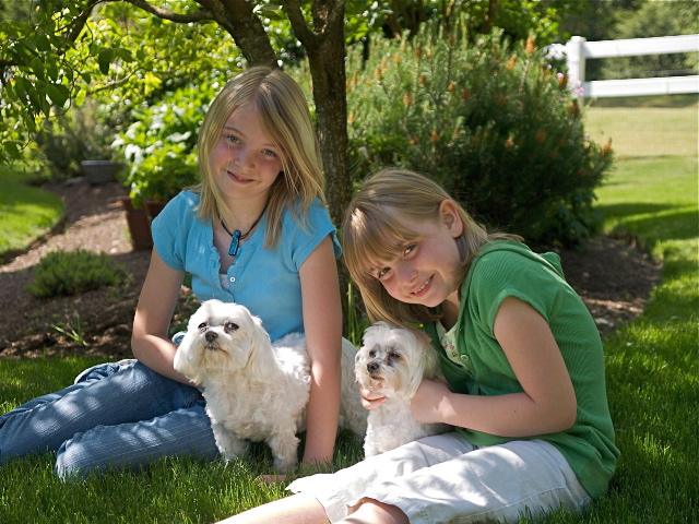 My Girls and their Dogs
