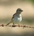 DSC_7501.jpg
