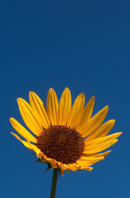 reaching