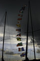 Flags Against Sky