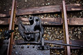 tracks