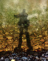 My Shadow on Buffalo River