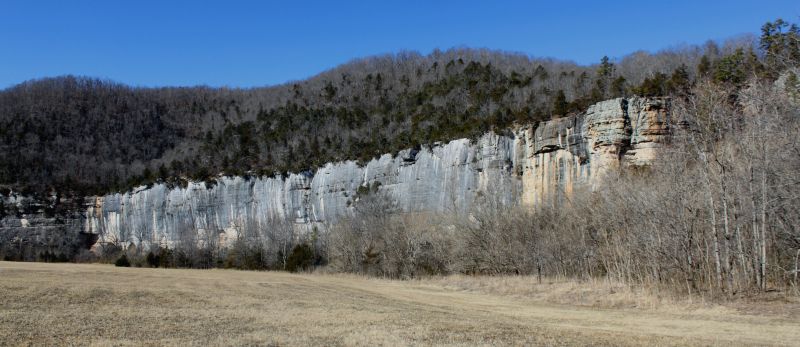 Roark Bluff