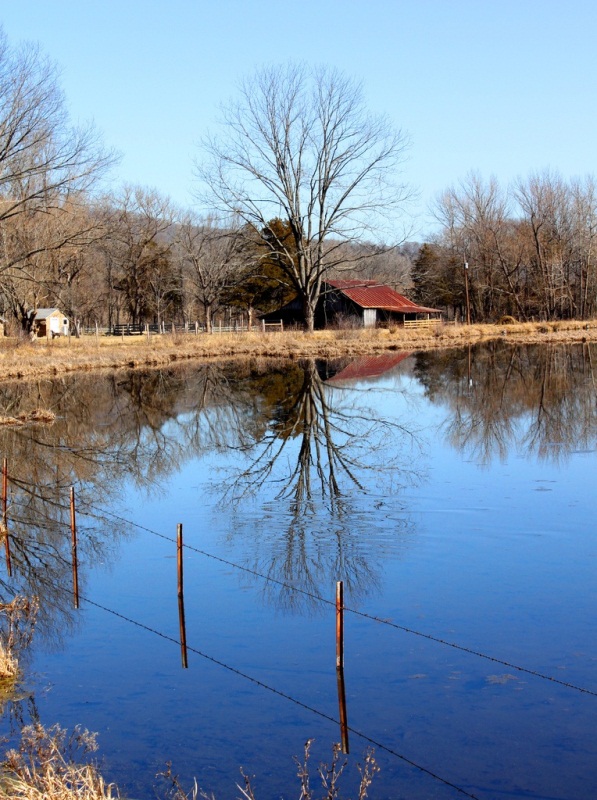 Mill Pond Reflections