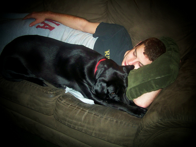 Boy and Dog