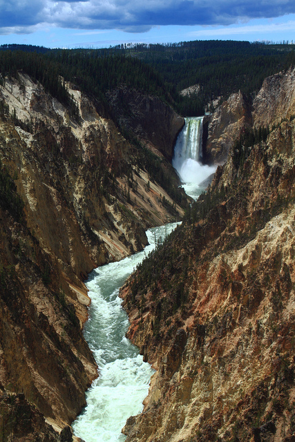 Lower Yellowstone Falls and River