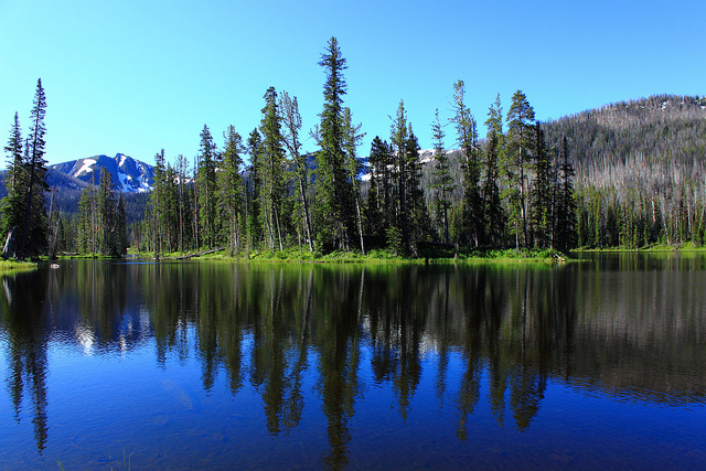 Sylvan Lake Reflection