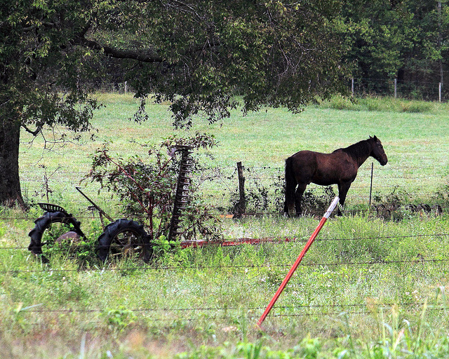 Old Fashioned Hay mower and Hay Eater