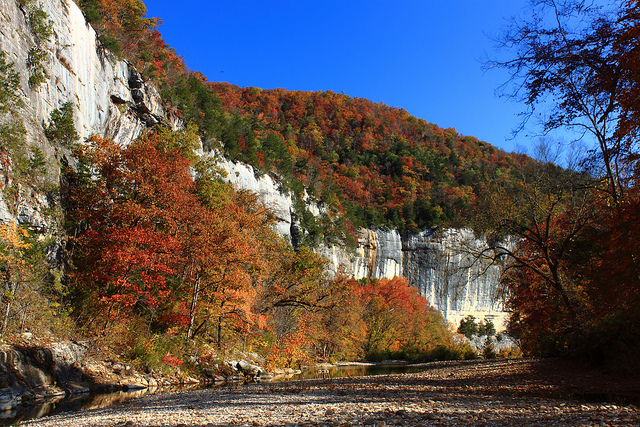 Autumn at Roark Bluff