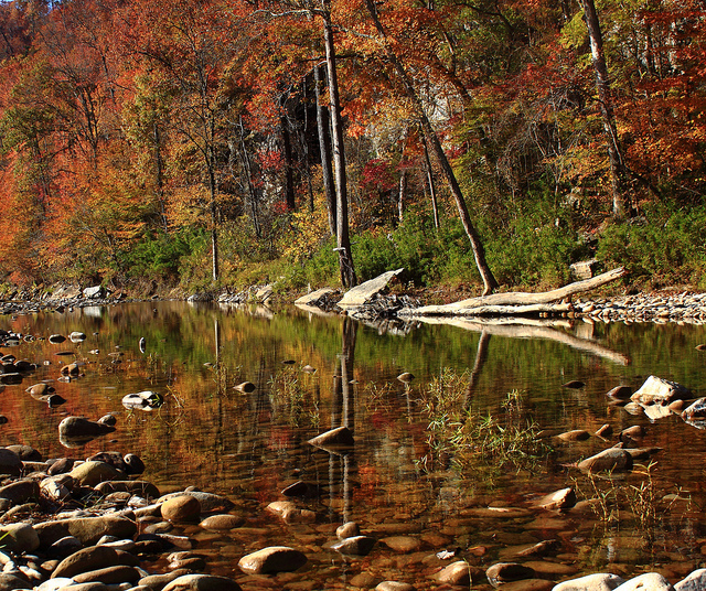 Autumn Reflections