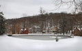Roslyn NY