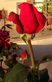 a Click