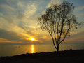 Spring Sunset