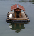 The duck house