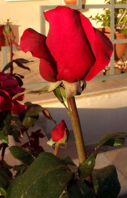 a Click