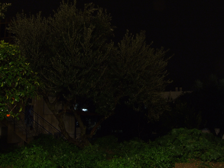 DSCF4118.jpg