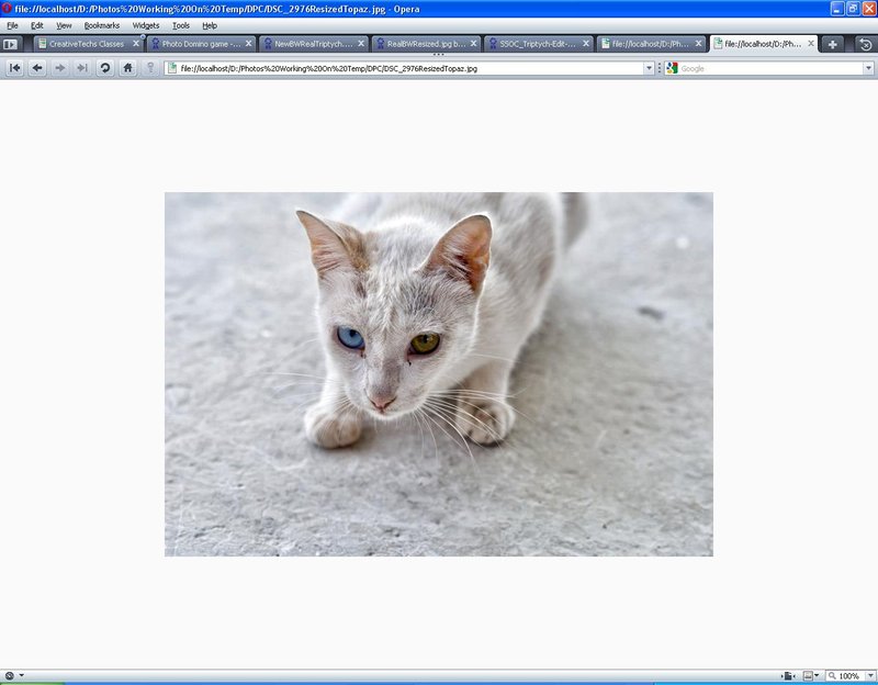 BrowserView.jpg