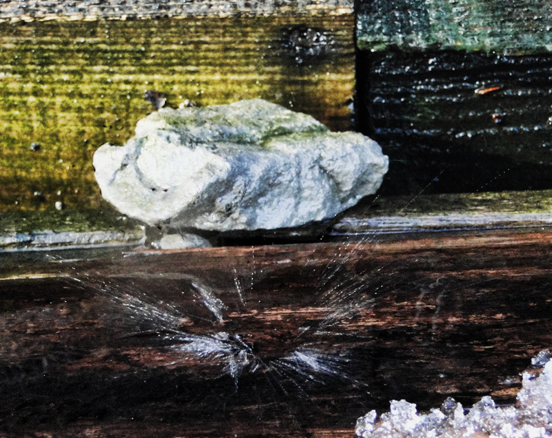 pjiotre7_854241cropped.jpg