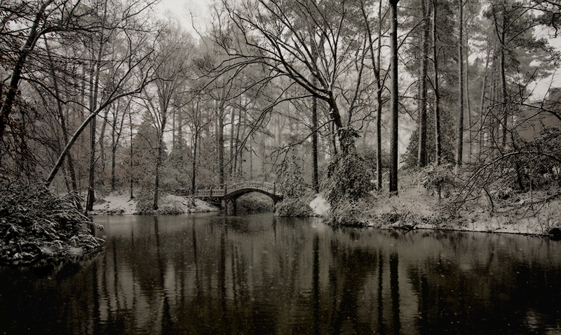 Vawendy_855810-Edit.jpg
