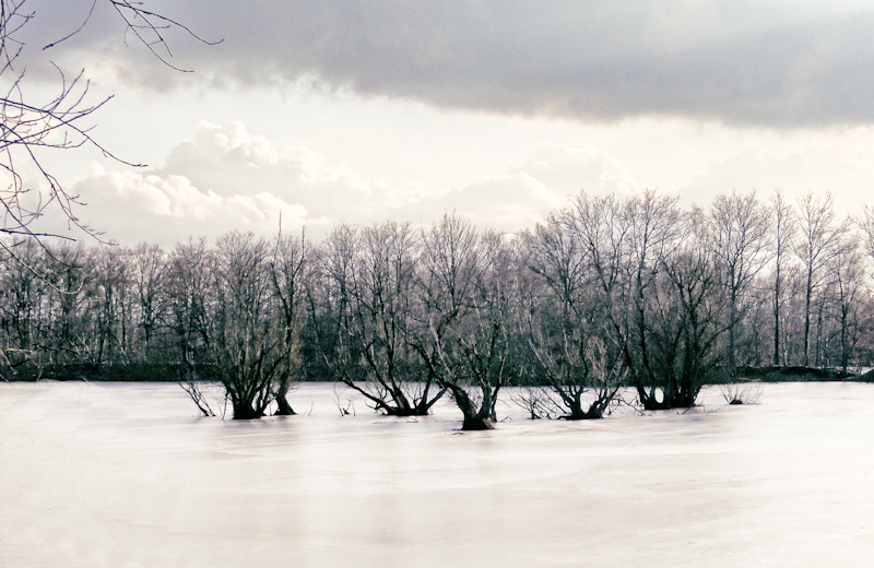 pjotre7_857366-Edit-Edit-Edit-Edit-5.jpg