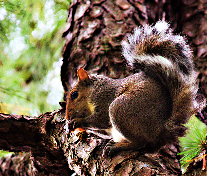 Kelli_857287-Edit-Edit-2-Edit-5.jpg