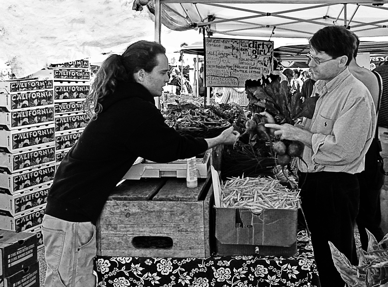 sfalice_857752-Edit-Edit-Edit-Edit-Edit-Edit-Edit.jpg